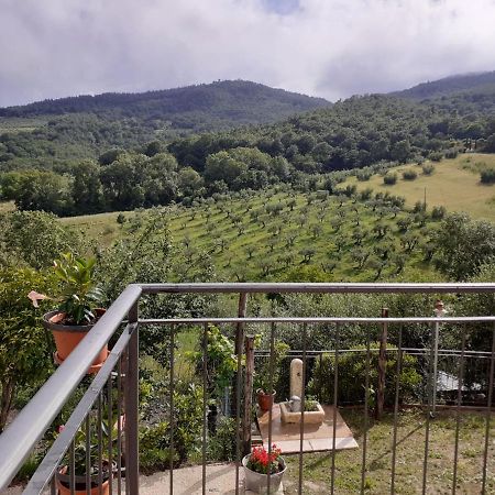 Costa Del Sole 42 Διαμέρισμα Cetona Εξωτερικό φωτογραφία